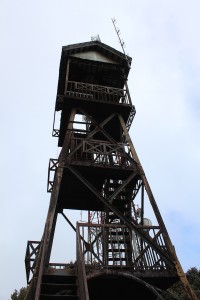 Cameron Highlands-041